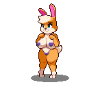 Bunni